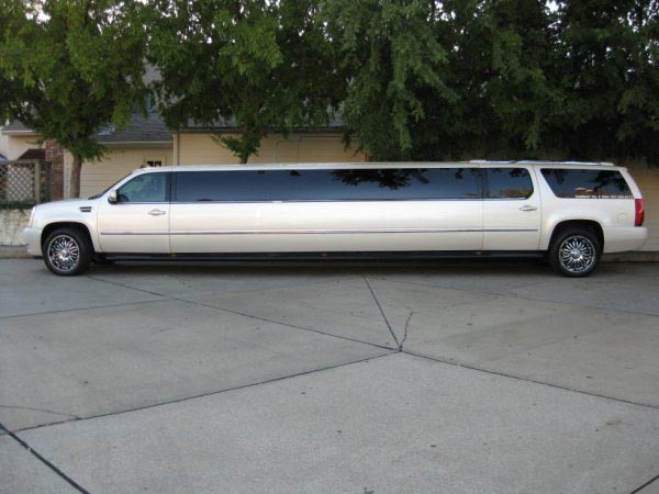 Free Limo at Paw Paw's Bridal