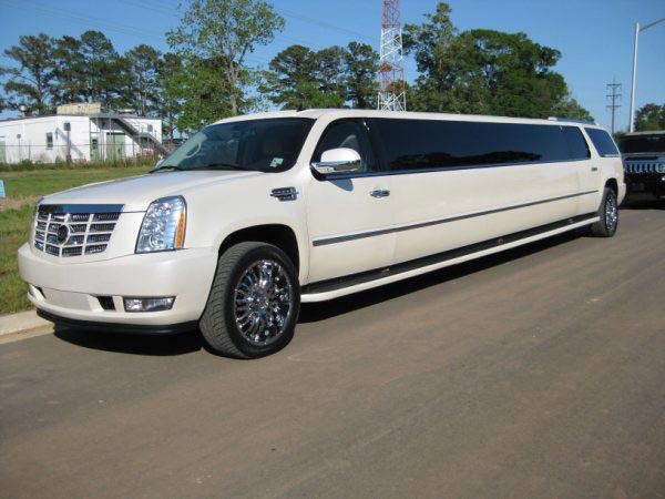 Free Limo at Paw Paw's Bridal